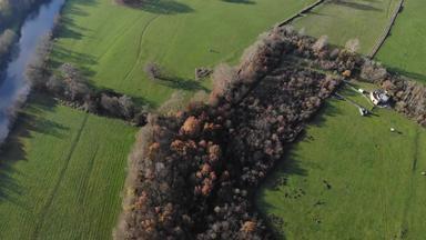 空中视图美丽的法国农村农村景观卢瓦尔地区绿色字段视图河农村农村俯瞰字段结束秋天冬天无人机拍摄飞行树